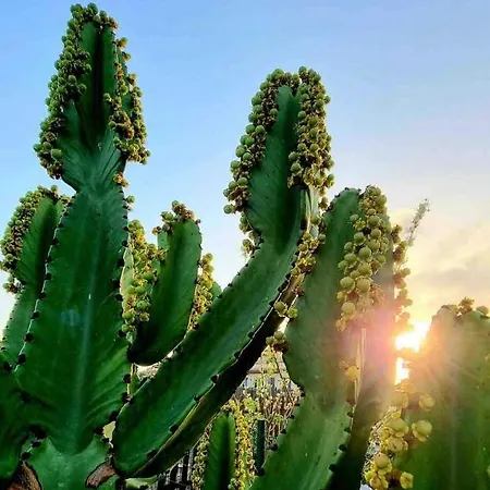 140 Oltre Majanicho By Irent Fuerteventura